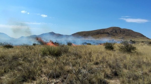 La Pampa: Un auto incendiado propagó las llamas en el Parque Lihué Calel