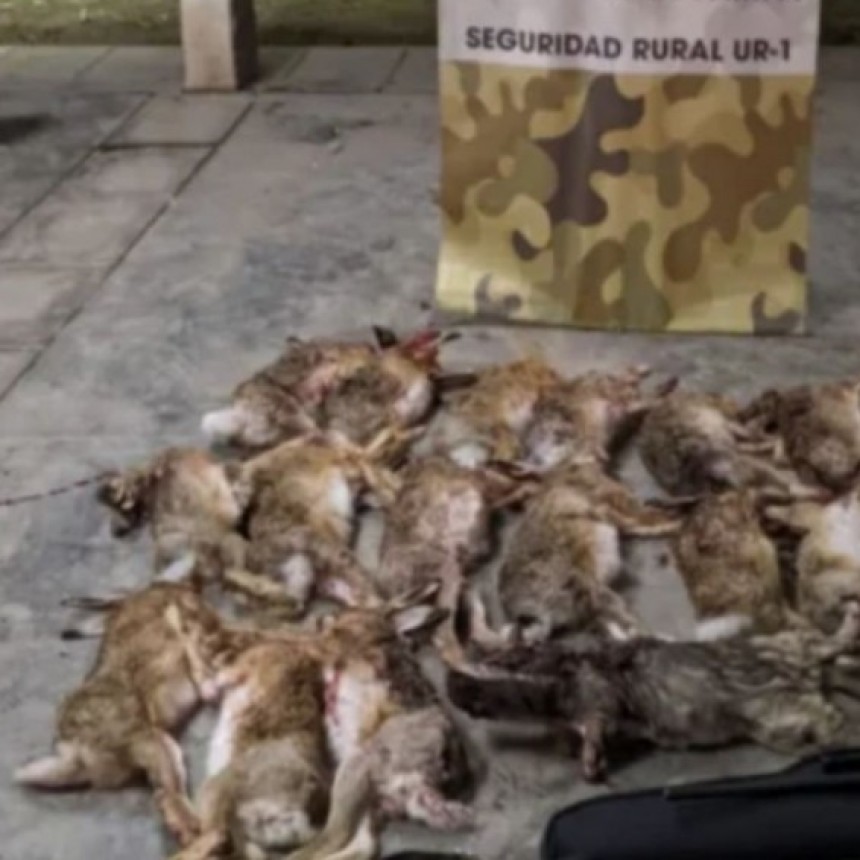 La Pampa: Multas millonarias a 15 personas por incumplir la Ley de Fauna Silvestre