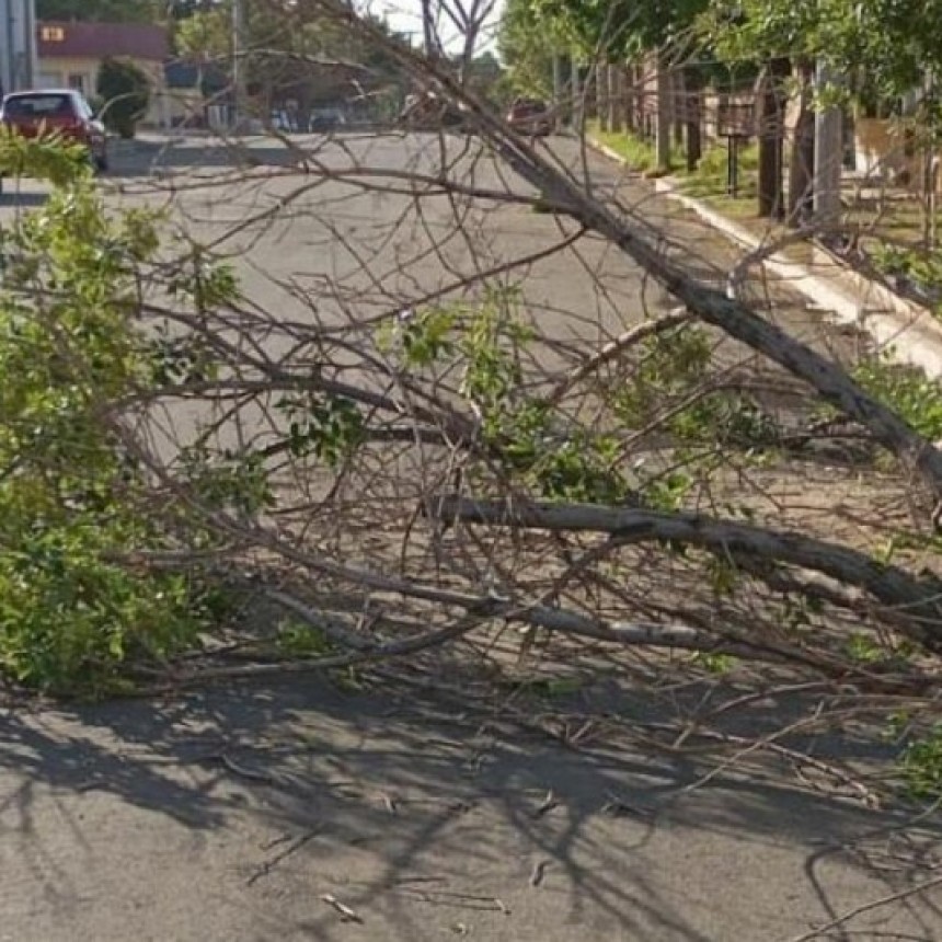 La Pampa: Fuerte tormenta anunciada provoco daños en el tendido eléctrico de Santa Rosa, Toay, Victorica, Luan Toro, Carro Quemado y otras localidades