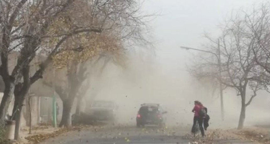 La Pampa: El viento del domingo provoc&oacute; heladas en toda La provincia
