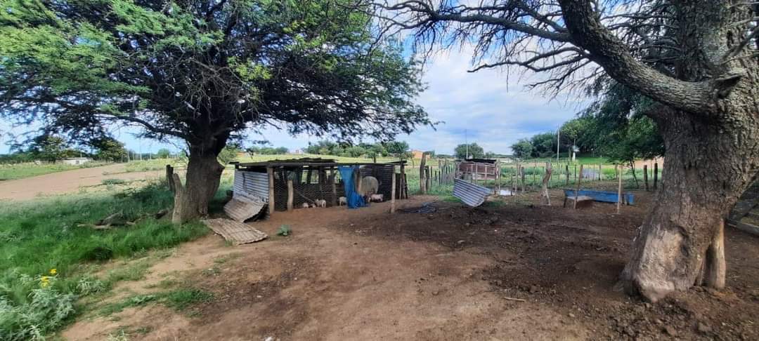 Tel&eacute;n: un detenido por hurto de una oveja