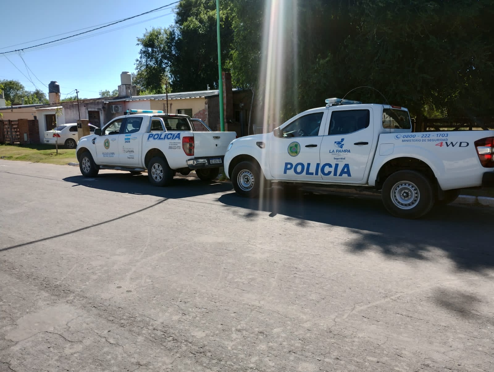 Roban un ternero en Tel&eacute;n:  en un allanamiento encuentran la carne del animal