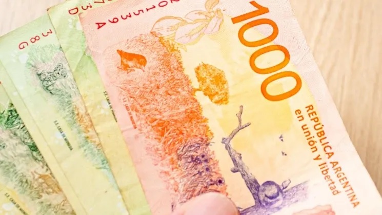 Bono a Jubilados y Pensionados en febrero igual que el de diciembre