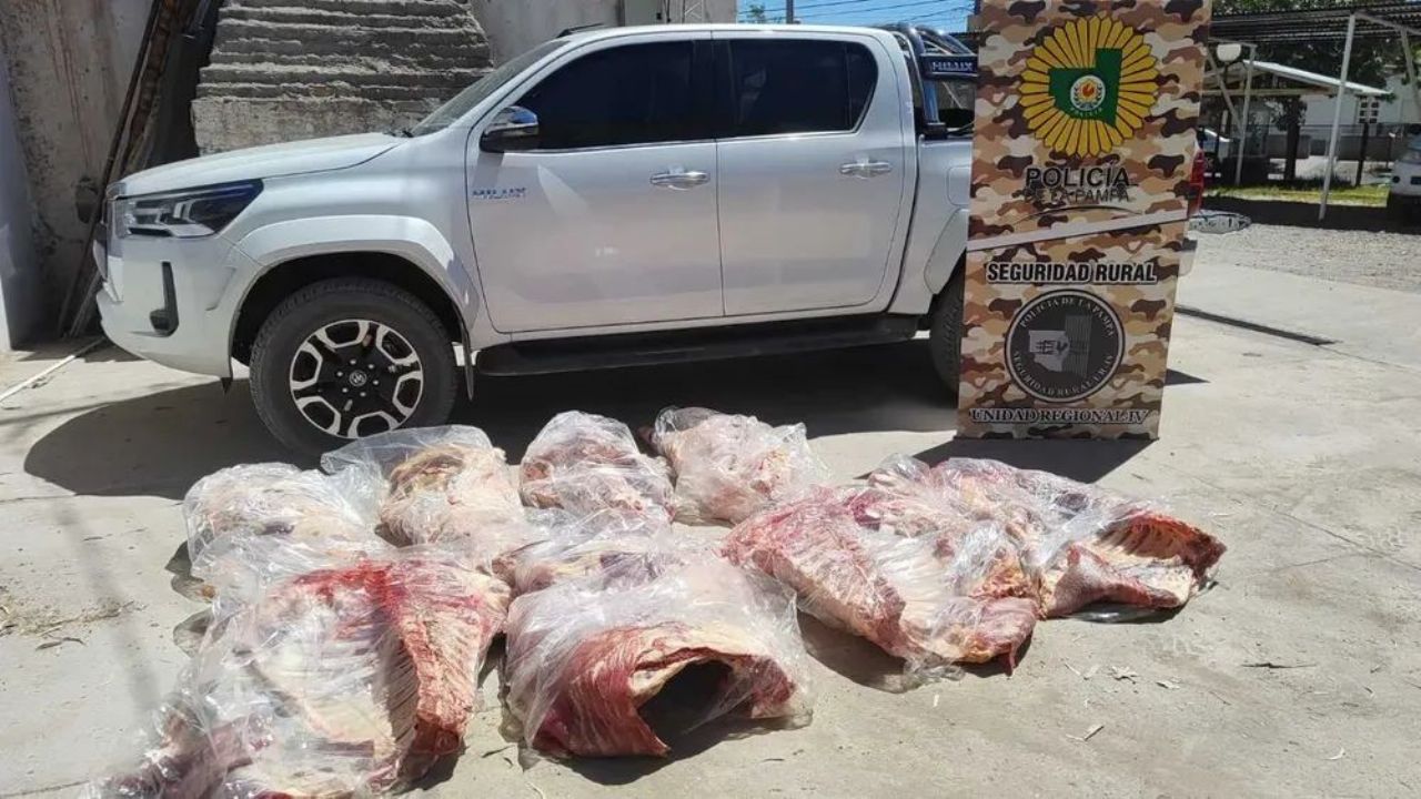 Fuga y detención de hombre que transportaba 437 kilos de carne ilegal