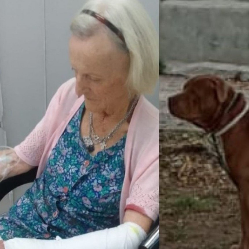 La Pampa: Salvaje ataque de un perro a una mujer de 81 a&ntilde;os en General Pico