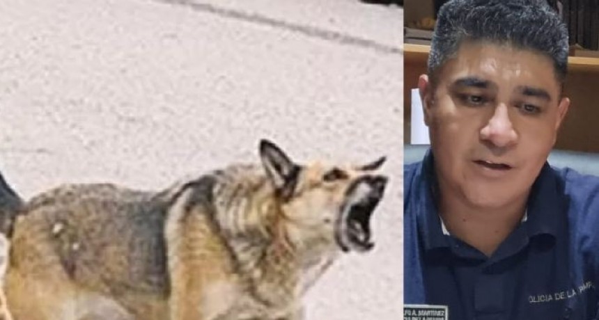 La Pampa: La presencia de perros en la v&iacute;a publica suma denuncias y accidentes en General Pico