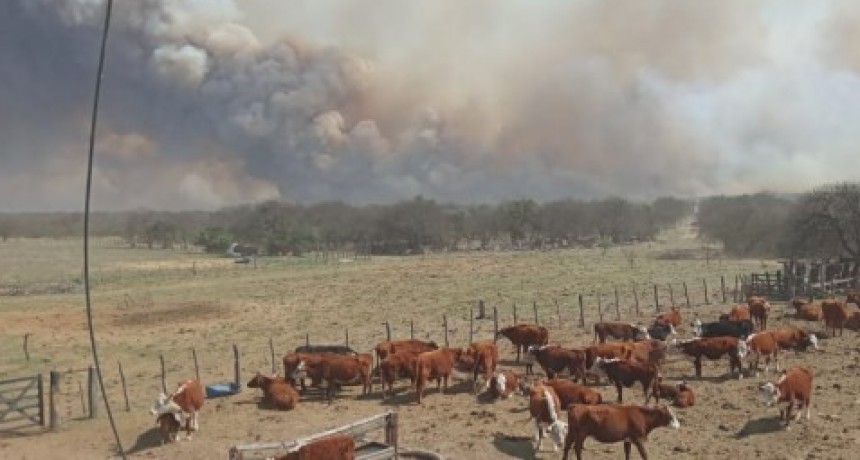 Los ruralistas piden créditos por el fuego, pero Defensa Civil les reclama que limpien las picadas