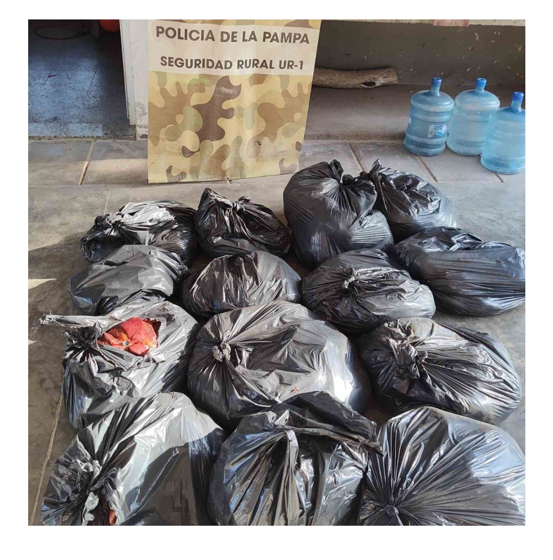 La Pampa: Secuestraron 300 kilos de carne de caballo en una carnicer&iacute;a clandestina de Santa Rosa