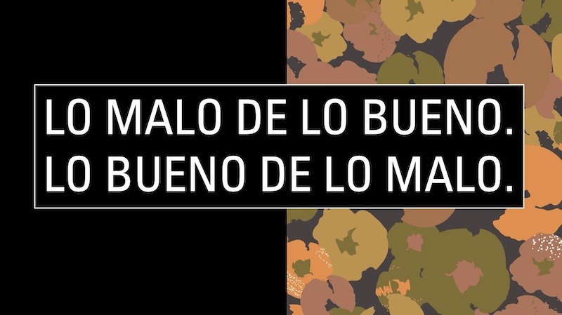 Internacional :Elogios de la secretaria del Tesoro norteamericano a Milei y a Caputo