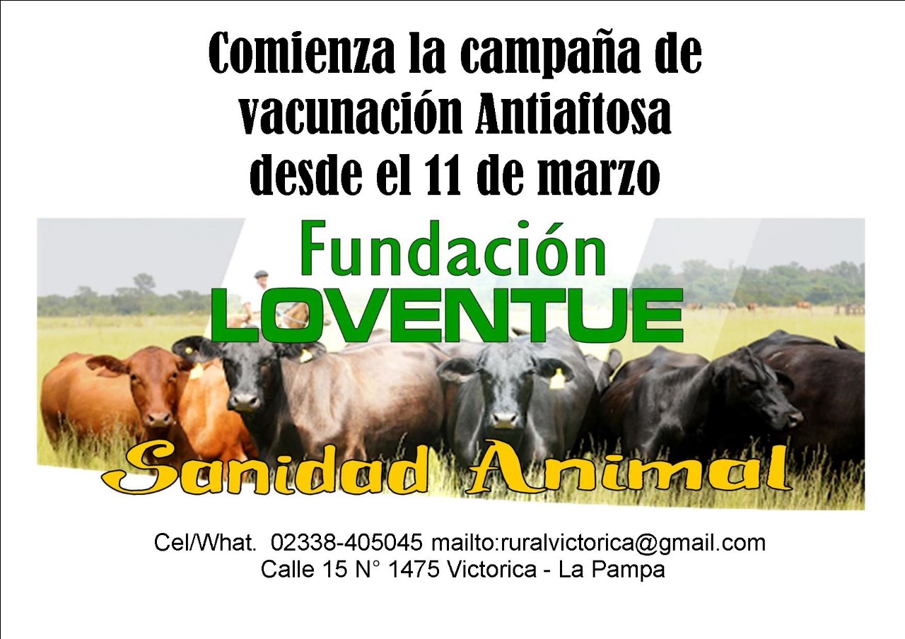 La Pampa : primera Campa&ntilde;a Anual de Vacunaci&oacute;n contra la Fiebre Aftosa
