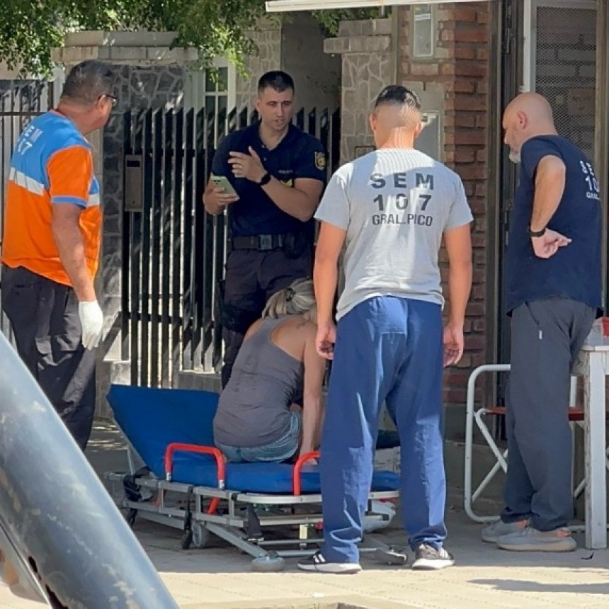 La Pampa: Se clav&oacute; la tijera en una pierna mientras le cortaba el pelo a los perros. 