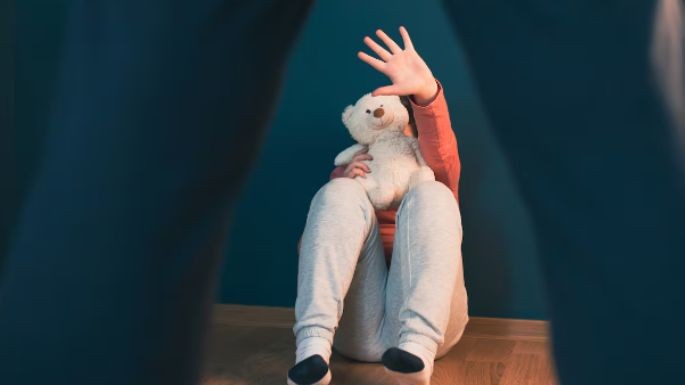 Una nena de 12 a&ntilde;os sufri&oacute; un abuso y est&aacute; embarazada