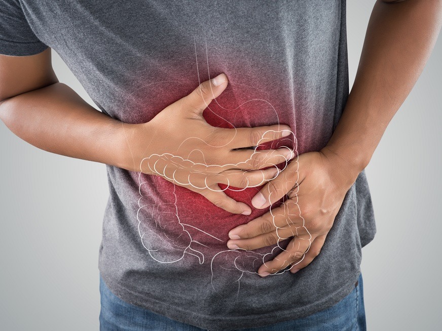 Salud : &iquest;Toda enfermedad empieza en el intestino? 