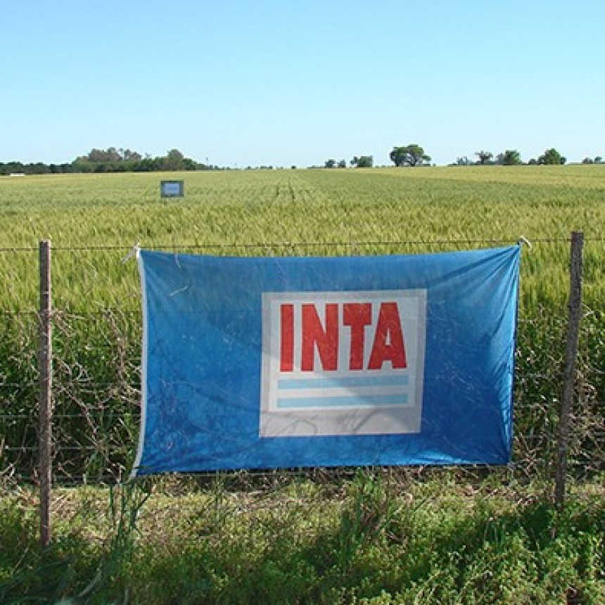 Se aprob&oacute; la reforma del Inta: hay temor a una ola privatizadora con despidos