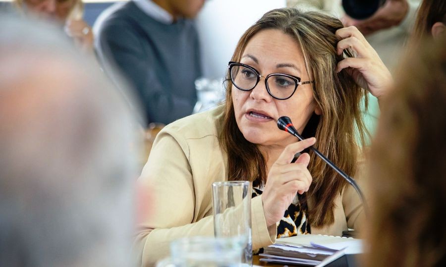 La Pampa: Diputadas piden evaluación externa de políticas sociales de niñez, personas con discapacidad y adultos mayores