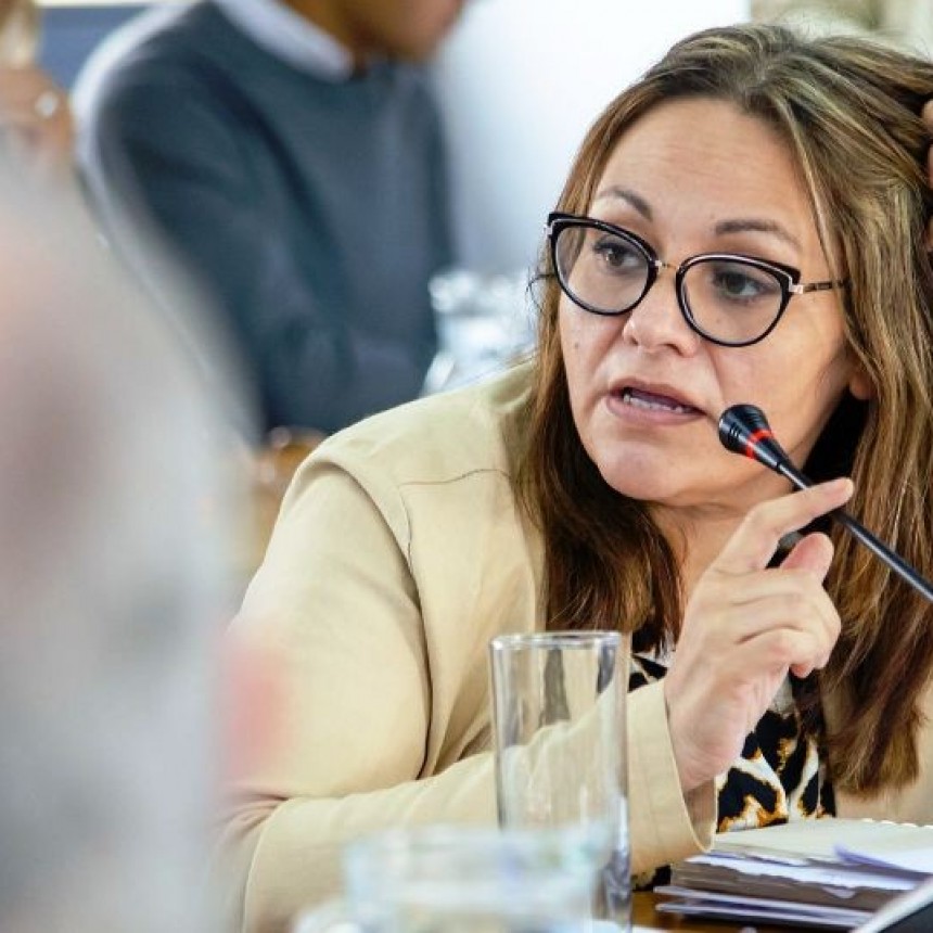 La Pampa: Diputadas piden evaluaci&oacute;n externa de pol&iacute;ticas sociales de ni&ntilde;ez, personas con discapacidad y adultos mayores