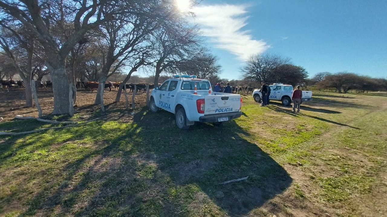 La Pampa: Abigeato en Departamento Toay recuperan 10 animales 