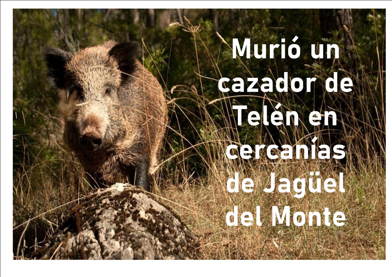 La Pampa:Muri&oacute; un cazador de Tel&eacute;n en cercan&iacute;as de Jag&uuml;el del Monte