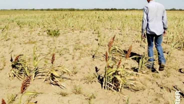 El campo, en alerta con los cambios que quiere hacer el Gobierno en el INTA