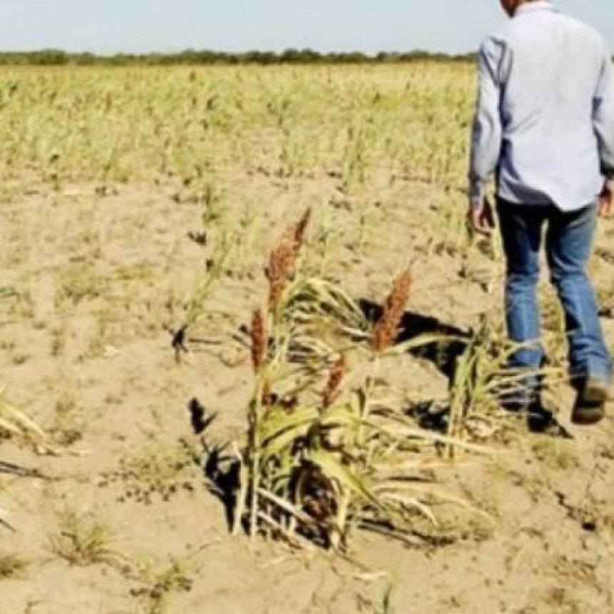 El campo, en alerta con los cambios que quiere hacer el Gobierno en el INTA