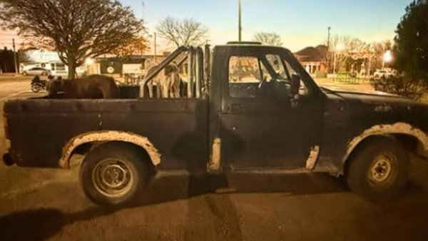 La Pampa: Tres hombres fueron demorados por cazar sin autorizaci&oacute;n en un campo