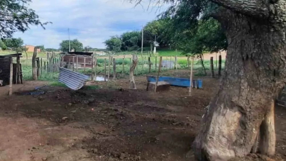 La Pampa:Principio de Oportunidad: le carne&oacute; una oveja y ahora tuvo que pagar por el da&ntilde;o
