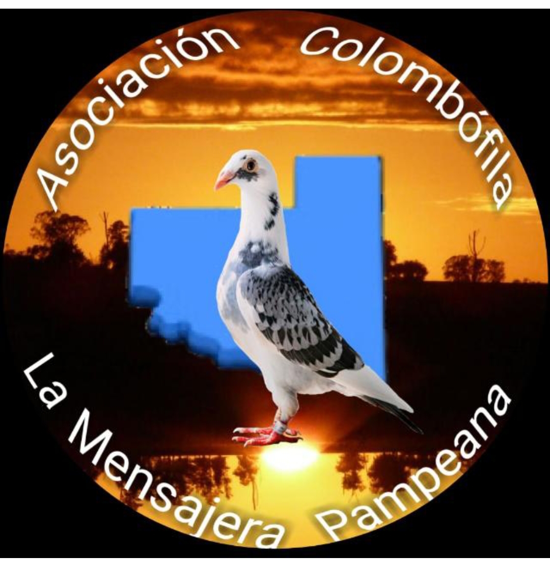 Argentina: preocupaci&oacute;n por una ins&oacute;lita medida con la colombofilia
