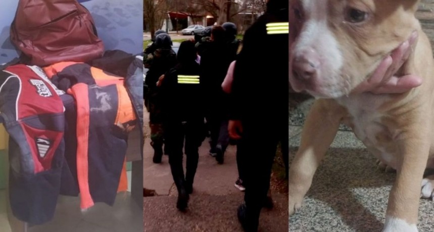 La Pampa: Hasta el perro se robaron en la ciudad de General Pico 