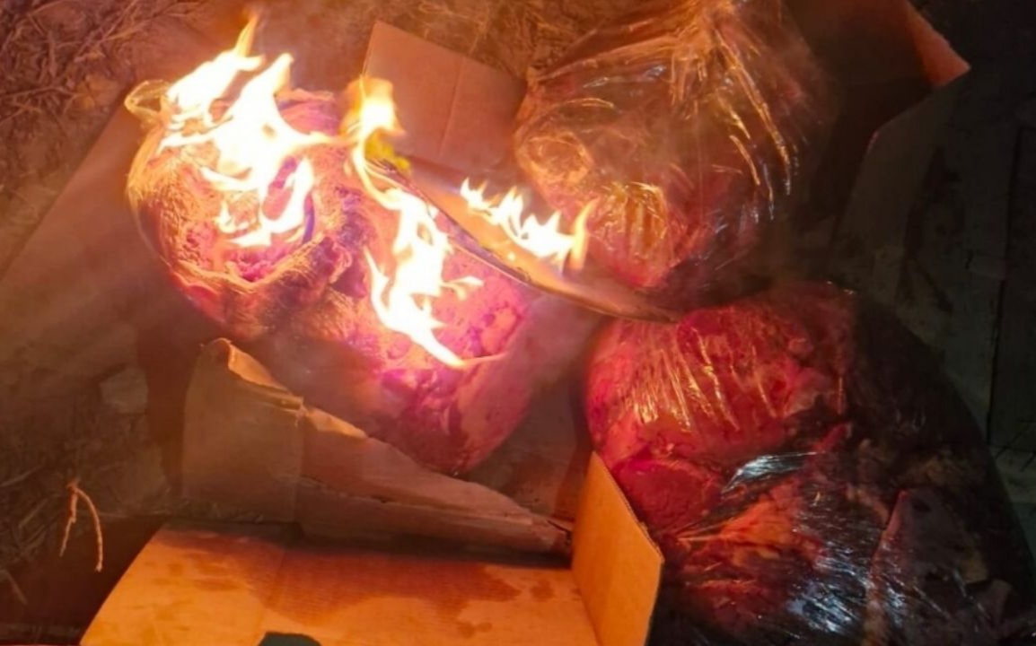 La Pampa:Robaron yegua de pura sangre en Catril&oacute;, valuada en $4 millones y la vendieron a un santarrose&ntilde;o que la faen&oacute;