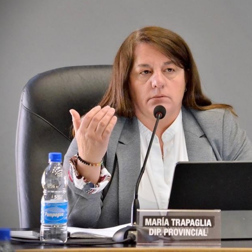 La Pampa: Asesor de Ziliotto le env&iacute;a mensaje a la diputada Trapaglia: &ldquo;Vaya a trabajar&rdquo;