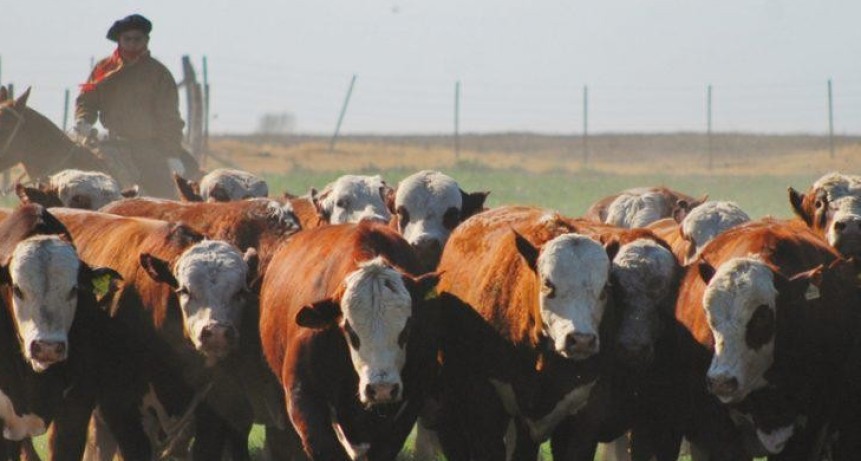 La Pampa lanz&oacute; una l&iacute;nea de cr&eacute;ditos de hasta 200 millones de pesos para productores agropecuarios