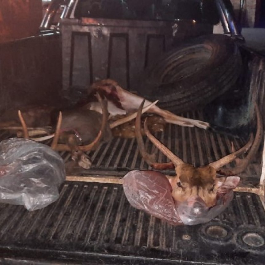 La Pampa:detienen a tres hombres por caza furtiva y resistencia a la autoridad en el oeste 