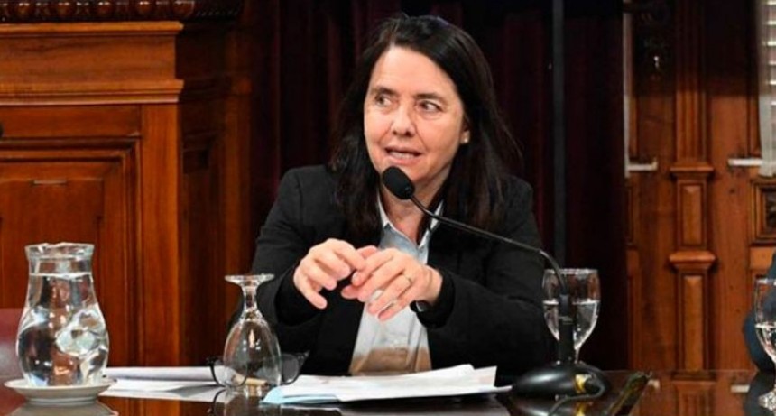 "No creo que los ni&ntilde;os tengan derecho a ser curados en el Garrahan" dijo la senadora del PRO Carmen &Aacute;lvarez Rivero