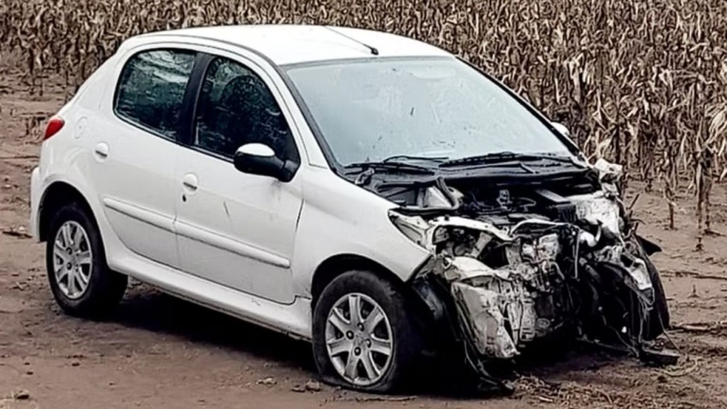 La Pampa: Por esquivar un perro, despist&oacute; y choc&oacute;