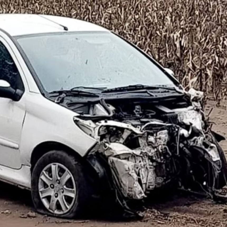 La Pampa: Por esquivar un perro, despist&oacute; y choc&oacute;