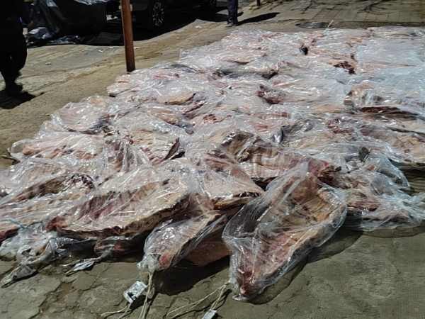 La Pampa: Llevaba 94 costillares vacunos de Santa Rosa a Neuquén sin habilitación 