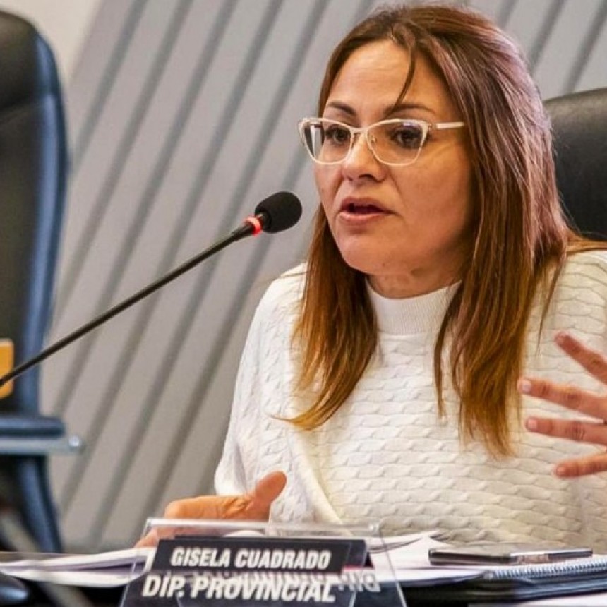 La Pampa: Diputada provincial quiere conocer las deudas de las Cooperativas con APE