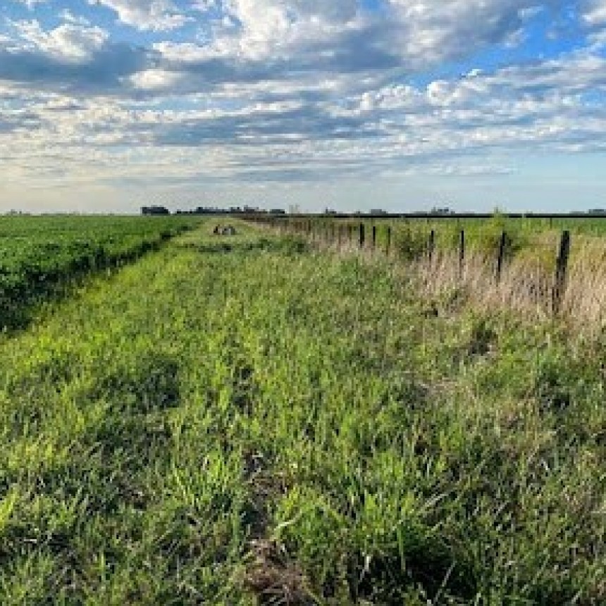 Ruralistas advierten panorama &ldquo;complicado&rdquo; en campos pampeanos por escasez de lluvias