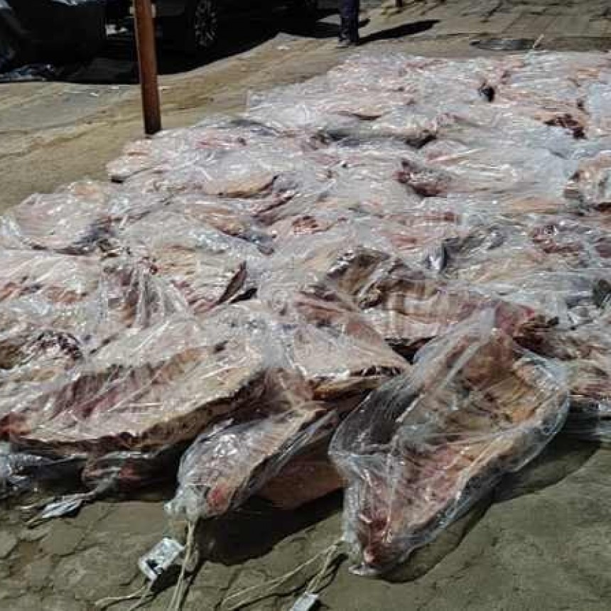 La Pampa: Llevaba 94 costillares vacunos de Santa Rosa a Neuqu&eacute;n sin habilitaci&oacute;n 