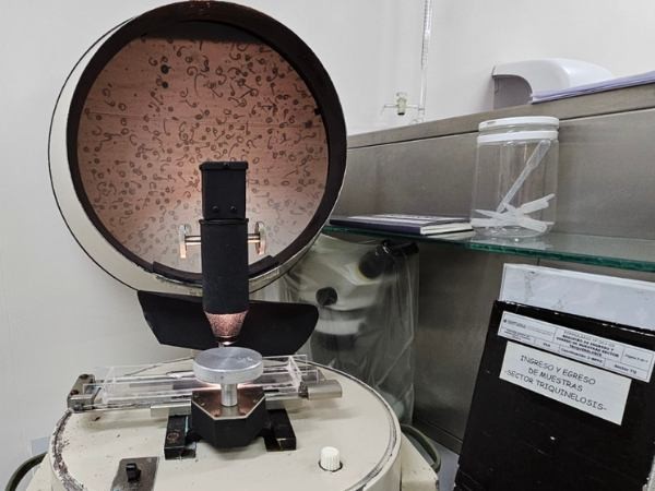 La Pampa: Senasa decomisó más de 40 kg de carne de jabalí con triquinosis
