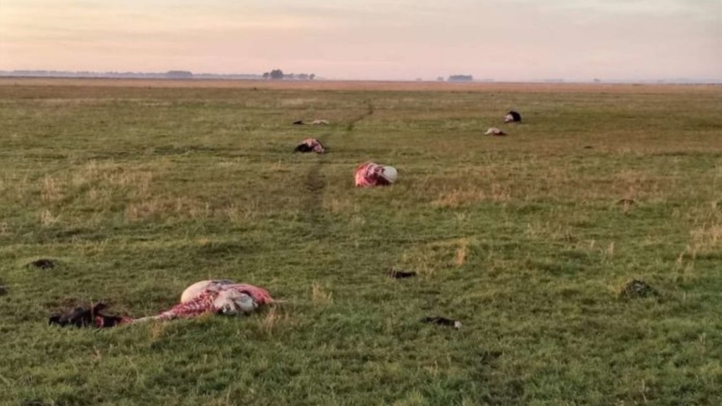 La Pampa: 