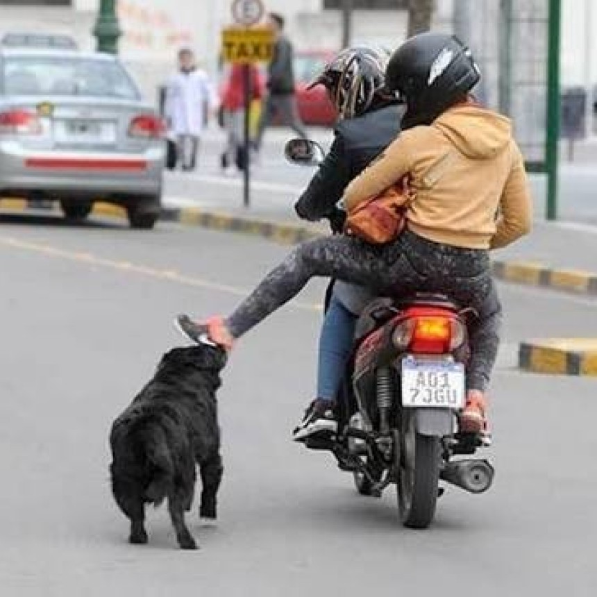 Ella iba en moto, fue atacada por perros, cay&oacute; y se quebr&oacute; el brazo