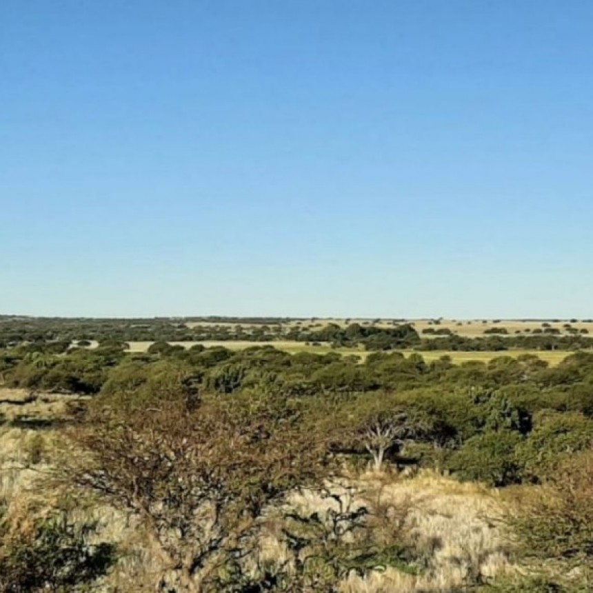 Naci&oacute;n elimin&oacute; los fondos de los Bosques y el las becas Progresar