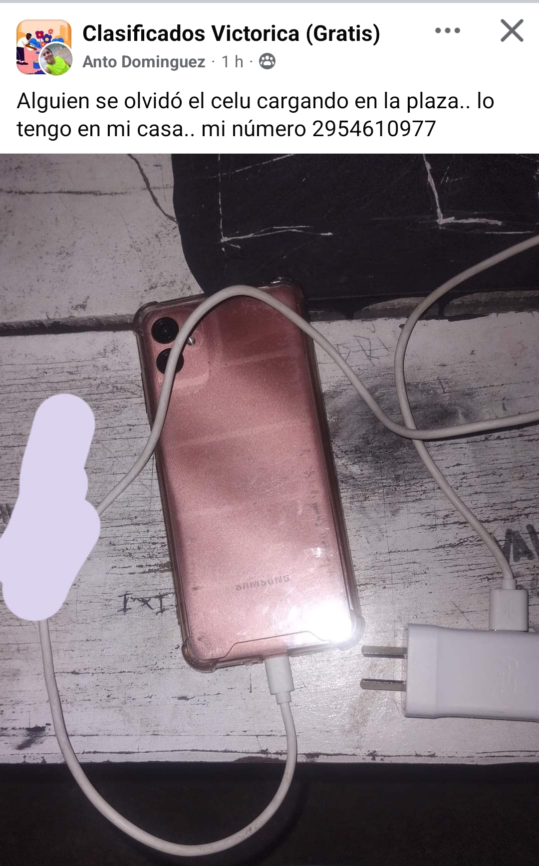 La Pampa: alguien olvid&oacute; cargando su celular en la plaza del pueblo y buscan a su due&ntilde;o 