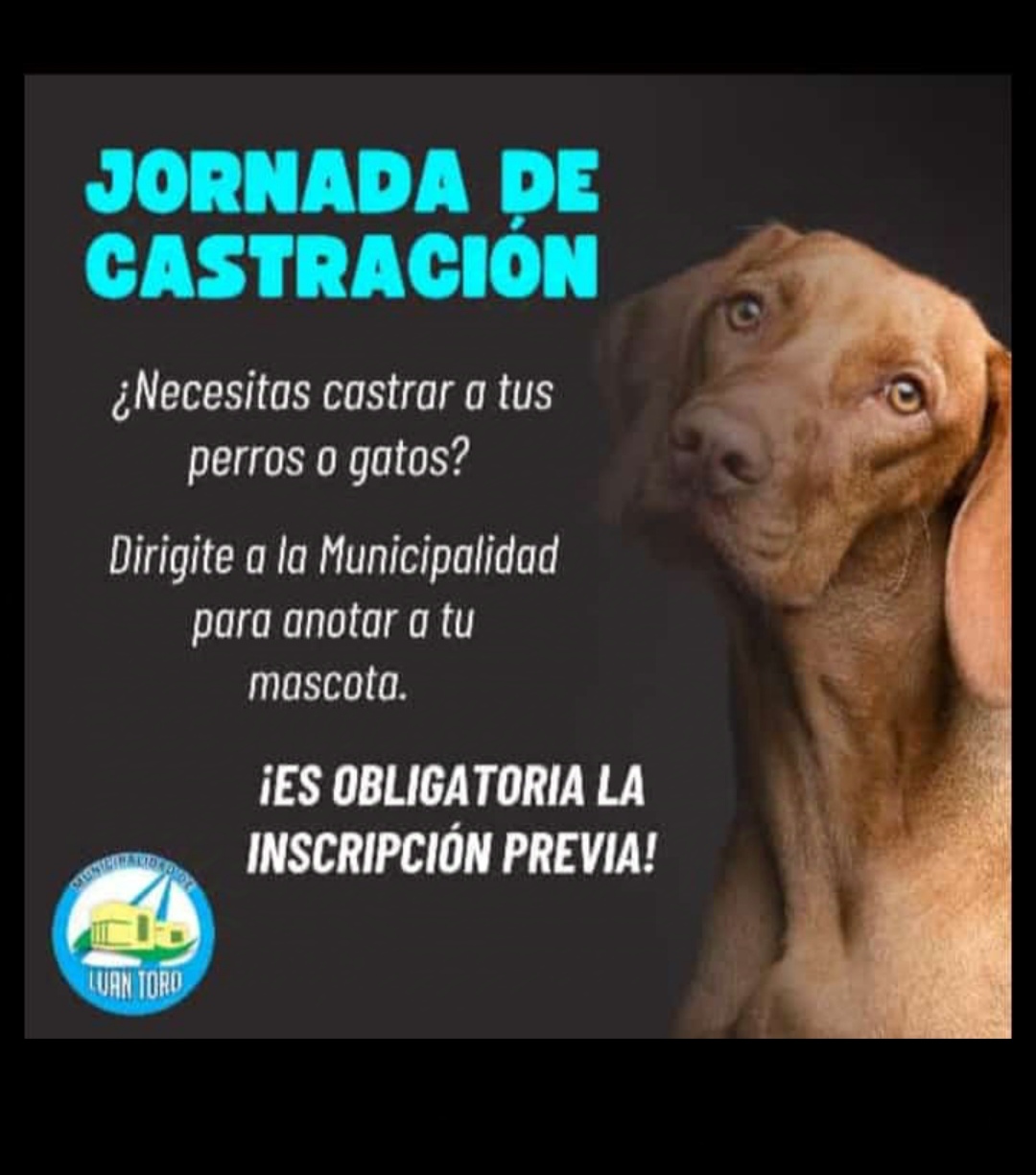 La Pampa: Jornada de castraci&oacute;n de perros y gatos en Luan Toro 