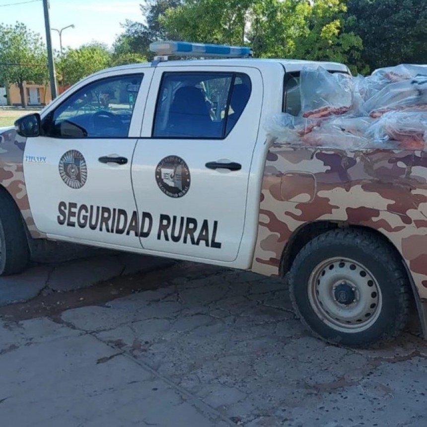 La Pampa: la Polic&iacute;a de General Acha decomisa 89 costillares vacunos