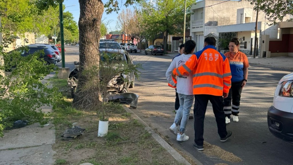 La Pampa:Se quedó dormido, arrancó un árbol y frenó contra otro