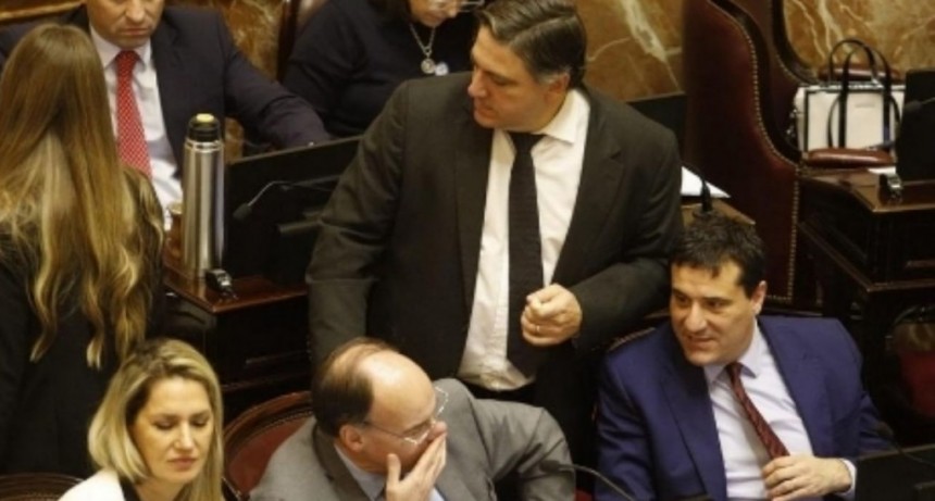 Doble derrota del Gobierno: el Senado reactiv&oacute; leyes de Garrahan y universidades