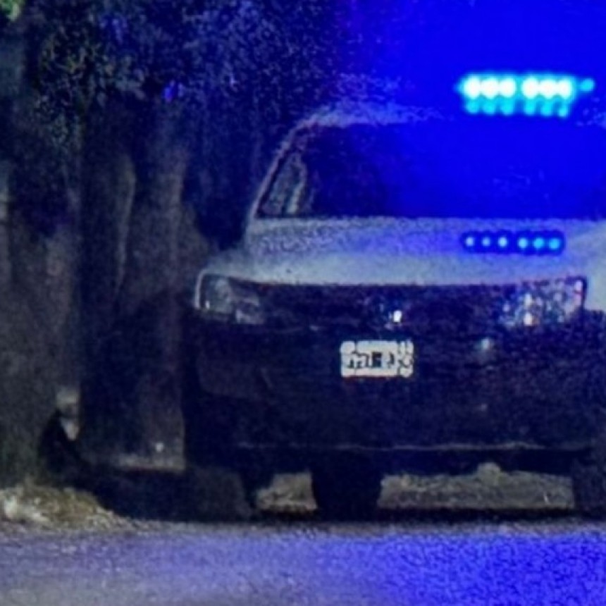 La Pampa: Delincuentes desvalijaron una vivienda y mataron al perro de la familia