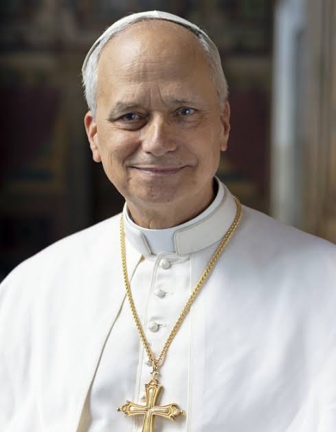 El papa Le&oacute;n XIV reapareci&oacute; tras su operaci&oacute;n por c&aacute;ncer de pulm&oacute;n y agradeci&oacute; el apoyo de los fieles